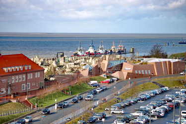 Galerie 5, Der Zoo in Bremerhaven