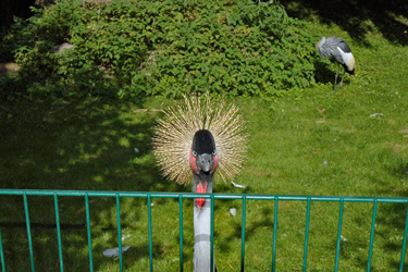 Galerie 8, Vogelpark Walsrode